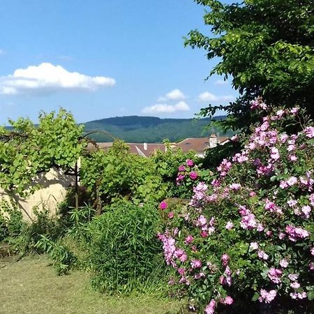 Jardin De Cure Villa Cluny Bagian luar foto