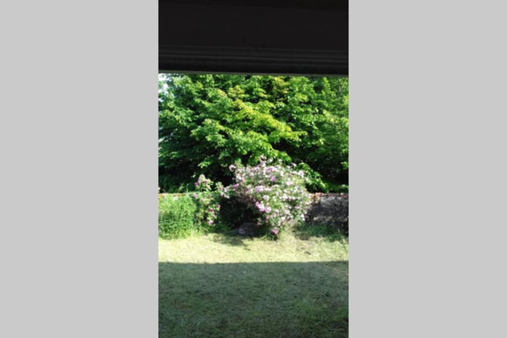 Jardin De Cure Villa Cluny Bagian luar foto